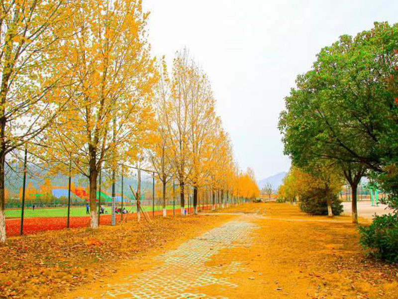 培训基地