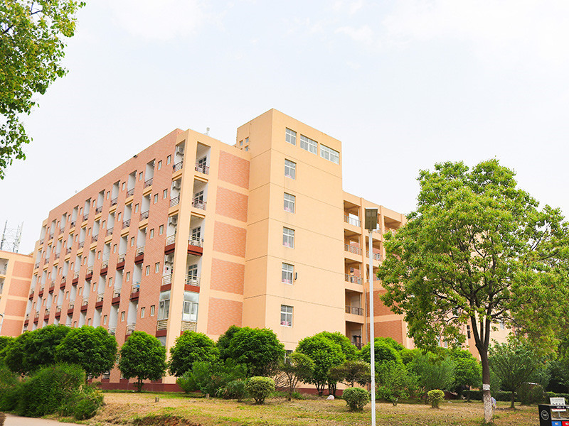 培训基地